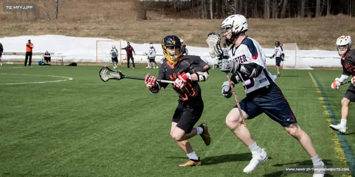 蜂鸟电竞——用引擎点燃热血，让每个角色都拥有灵魂的温度！🔥